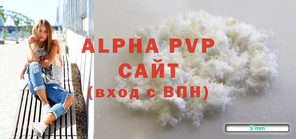 прущие грибы Вязники