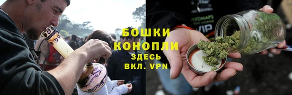 прущие грибы Вязники
