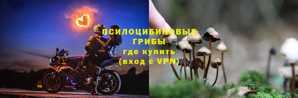 ГАЛЛЮЦИНОГЕННЫЕ ГРИБЫ Лиски