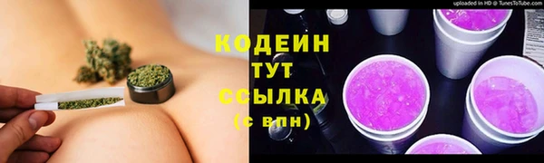 твердый Вяземский