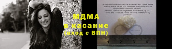 прущие грибы Вязники