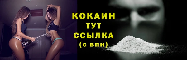 твердый Вяземский