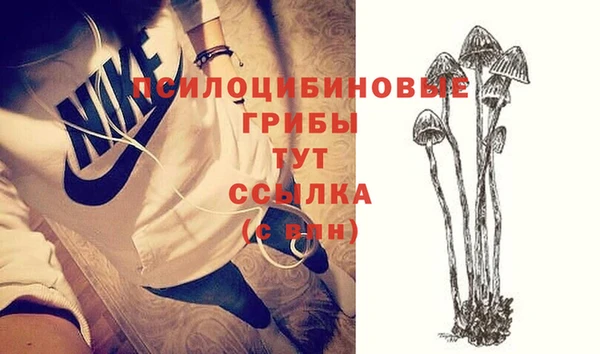 прущие грибы Вязники