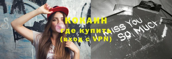 твердый Вяземский