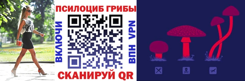 mega ссылка  Новый Оскол  Псилоцибиновые грибы мухоморы  где купить наркоту 
